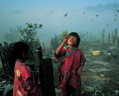 Xun Mol-José throws a plastic spider as a flock of birds flies by. Nabenchauk, 1991.