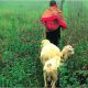 Weaving Generations Together Exhibit & Book Photographs