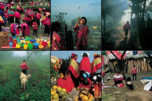 Weaving Generations Together Photographs